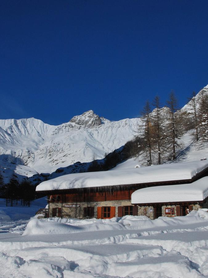 CENTRO FONDO BELLINO